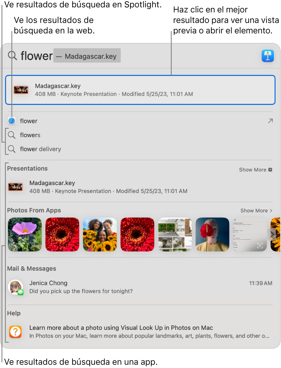 La ventana de Spotlight mostrando texto de búsqueda en el campo de búsqueda en la parte superior de la ventana, los resultados y sugerencias de búsqueda debajo.