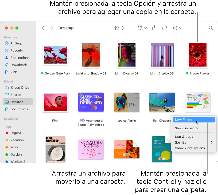 Una ventana del Finder con archivos y carpetas. En el menú de funciones rápidas, Nueva carpeta está resaltado.