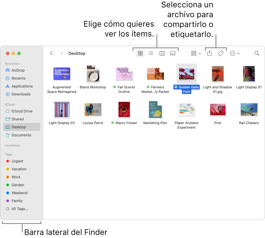 Una ventana del Finder con la barra lateral del Finder a la izquierda. Al principio de la ventana hay cuatro botones que cambian el modo en que se muestran los ítems en la ventana y botones adicionales para organizar y compartir ítems.