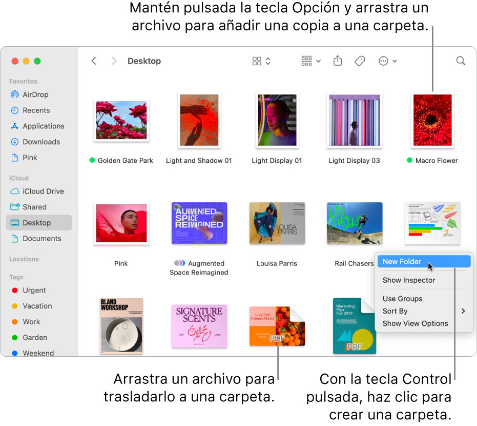 Una ventana del Finder que contiene archivos y carpetas. En el menú de funciones rápidas está seleccionado el comando “Nueva carpeta”.