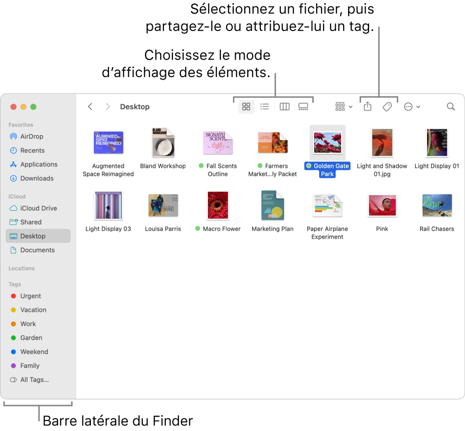 Une fenêtre du Finder avec la barre latérale du Finder sur la gauche. En haut de la fenêtre se trouvent quatre boutons qui modifient la présentation des éléments dans la fenêtre, ainsi que des boutons supplémentaires pour les organiser et les partager.