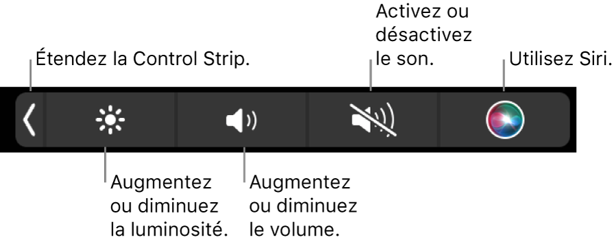 La Control Strip condensée comprend des boutons de gauche à droite, pour développer la Control Strip, augmenter ou baisser la luminosité de l’écran ou le volume, couper ou rétablir le son et utiliser Siri.