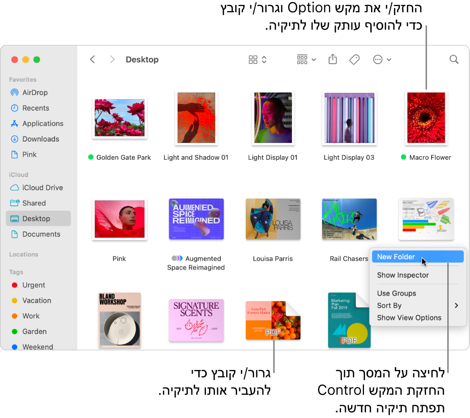 חלון Finder המכיל קבצים ותיקיות. בתפריט הקיצורים, האפשרות ״תיקיה חדשה״ מסומנת.