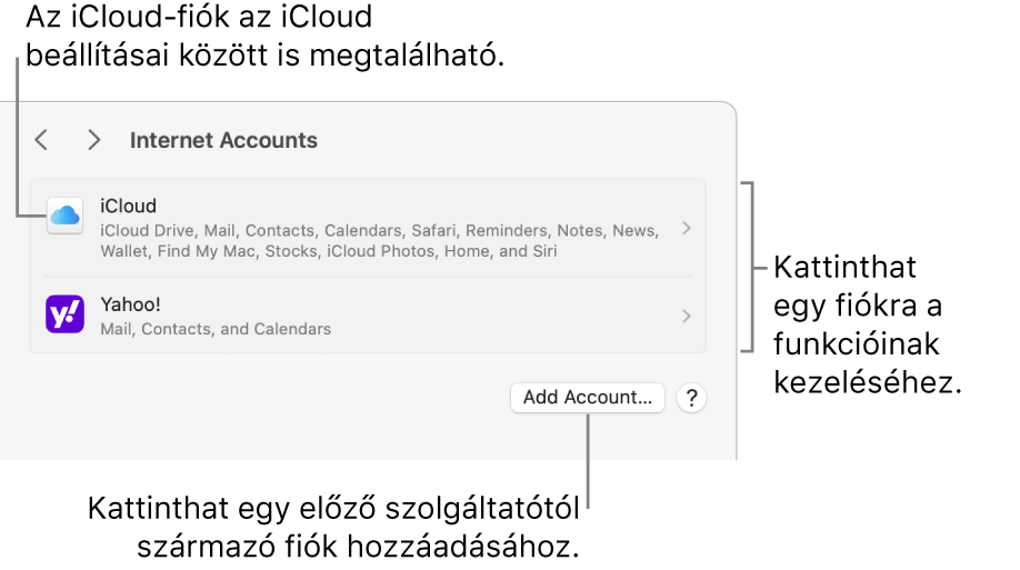 Az Internetes fiókok beállítások a Macen beállított fiókok listájával.