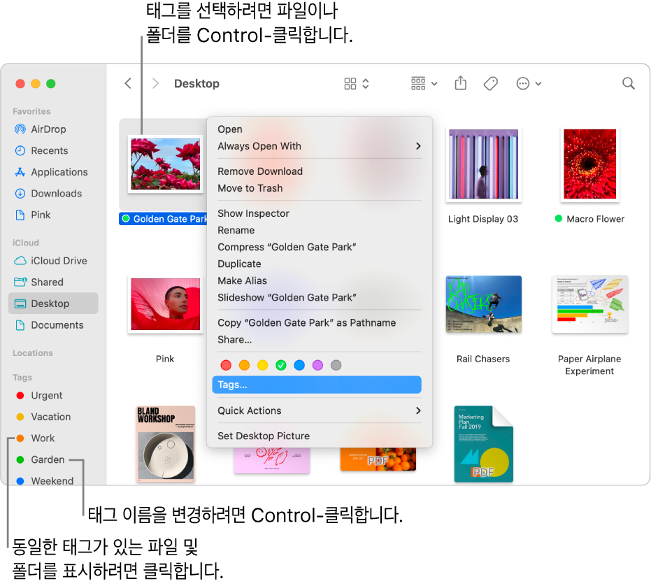 파일이 선택되어 있고 태그된 파일과 폴더가 있는 Finder 윈도우. 단축 메뉴에는 태그에 대한 색상 선택사항이 있고 태그가 하이라이트되어 있음.