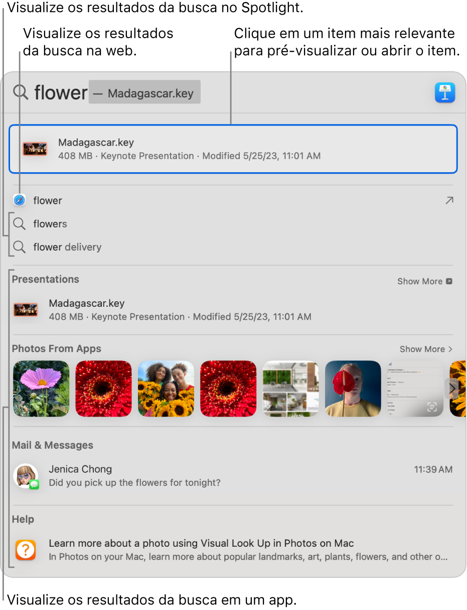 Janela do Spotlight mostrando um texto de busca no campo de busca na parte superior da janela e os resultados abaixo.