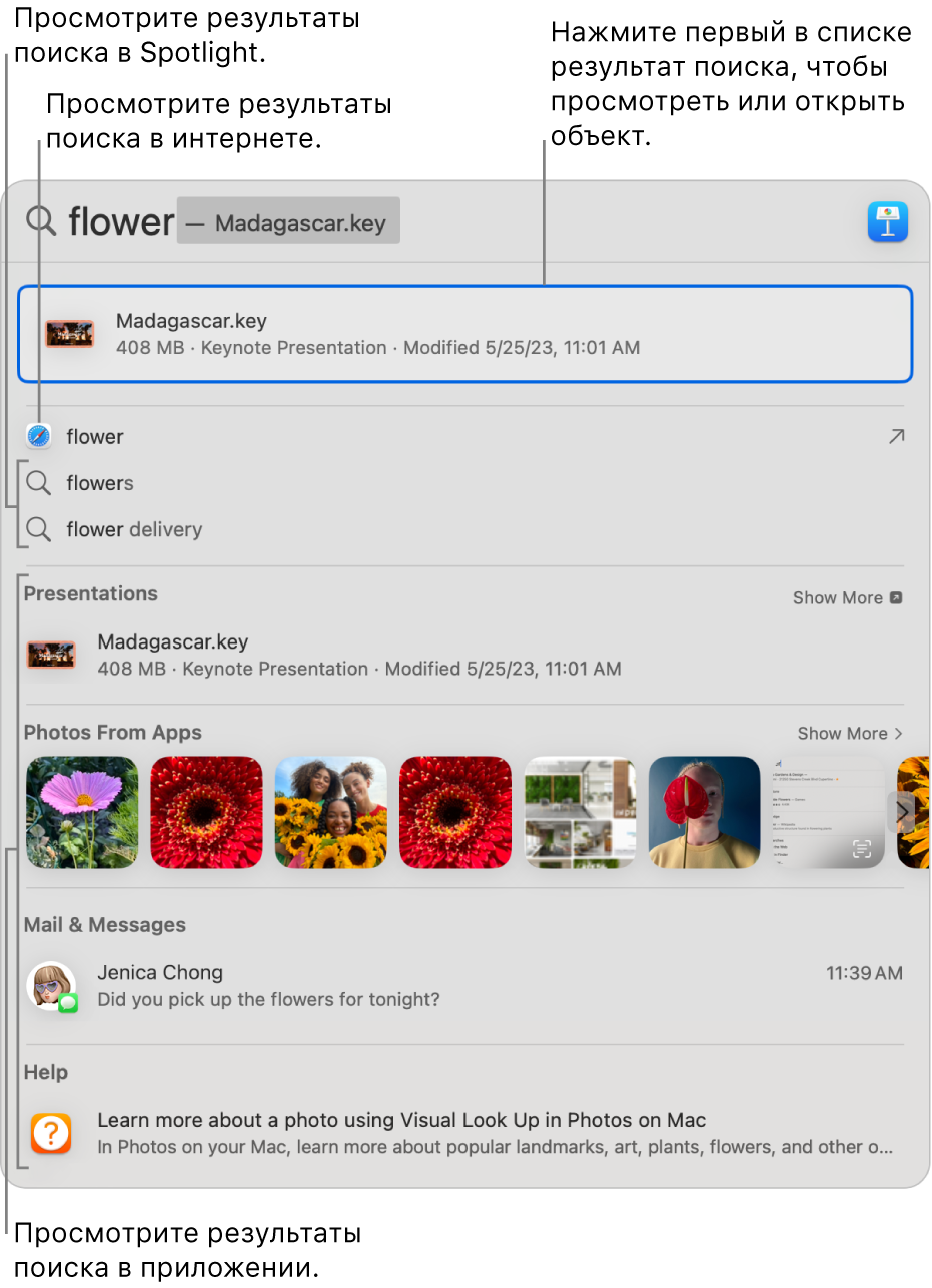Окно Spotlight. В поле поиска вверху окна показан текст для поиска, а под ним показаны результаты.