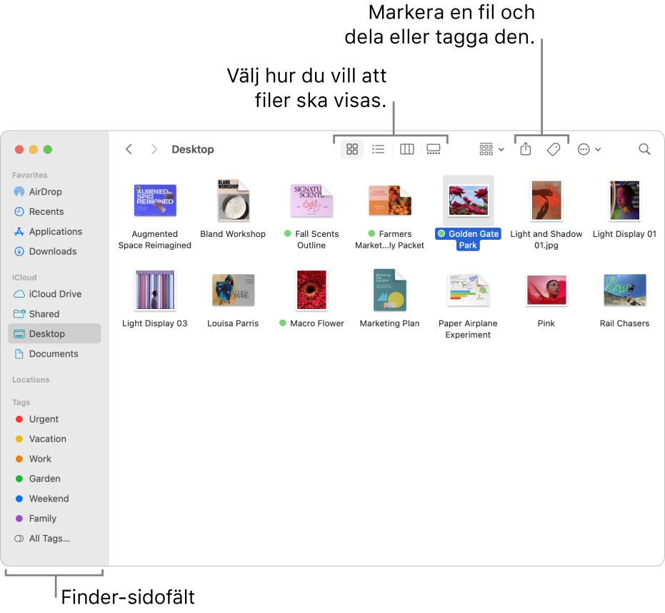 Ett Finder-fönster med Finder-sidofältet till vänster. Överst i fönstret finns det fyra knappar som ändrar hur objekt visas i fönstret samt ytterligare knappar för att ordna och dela objekt.