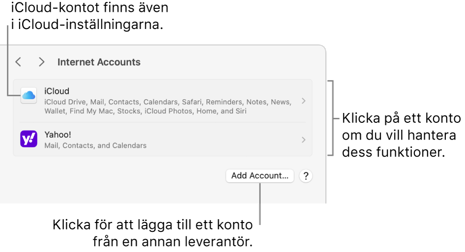 Inställningarna Internetkonton med en lista över inställda konton på datorn.