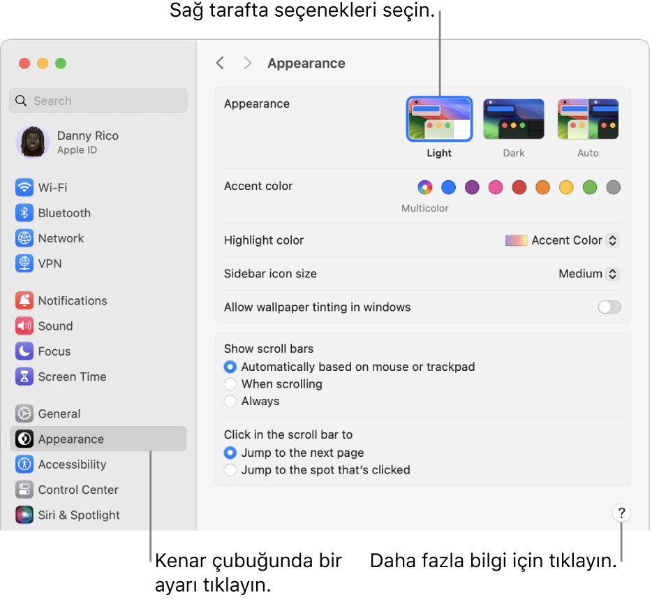 Kenar çubuğunda seçili Görünüş ayarları ve sağda Görünüş seçenekleri ile Sistem Ayarları penceresi.