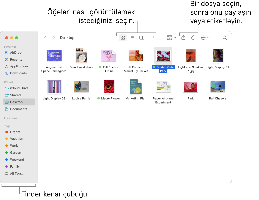 Solda Finder kenar çubuğu ile Finder penceresi. Pencerenin en üstünde, öğelerin pencerede gösterilme şeklini değiştiren dört düğme ile öğeleri düzenlemek ve paylaşmak için kullanabileceğiniz başka düğmeler var.