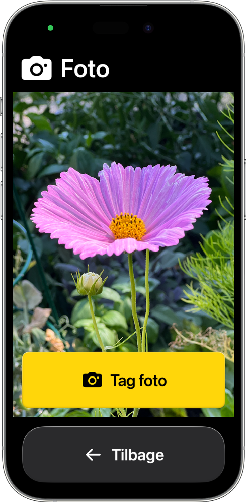 En iPhone i Let tilgængelighed, der viser den åbne app Kamera med en stor knap til at tage et foto og en anden stor knap til at vende tilbage til den forrige skærm.