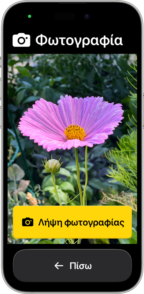 Ένα iPhone στην Υποβοηθούμενη πρόσβαση όπου είναι ανοιχτή η εφαρμογή «Κάμερα» και φαίνονται μεγάλα κουμπιά για λήψη φωτογραφίας και επιστροφή στην προηγούμενη οθόνη.