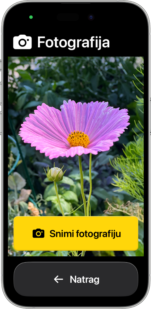 iPhone u Pomoćnom pristupu prikazuje otvorenu aplikaciju Kamera s jednom velikom tipkom za snimanje fotografije i drugom velikom tipkom za povratak na prethodni zaslon.