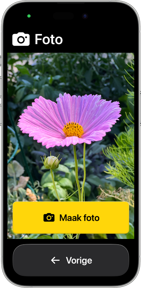 Een iPhone met hulpbedieningstoegang, waarop de Camera-app is geopend en waarop twee grote knoppen te zien zijn: één om een foto te maken en één om terug te gaan naar het vorige scherm.