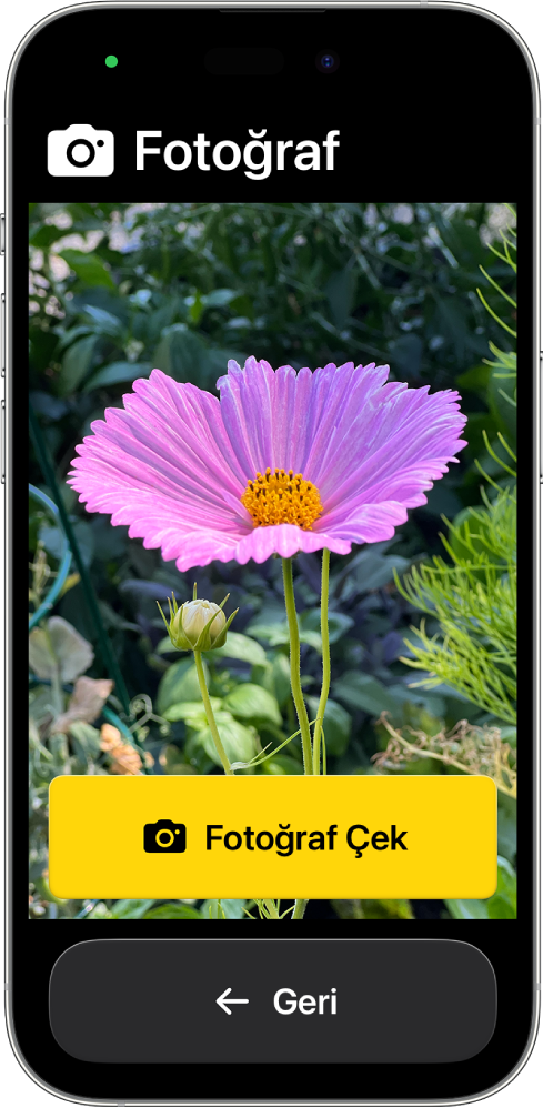 Yardımcı Erişim modundaki bir iPhone’da Kamera uygulaması açık; fotoğraf çekmek için büyük bir düğme ve önceki ekrana geri gitmek için başka bir büyük düğme gösteriliyor.