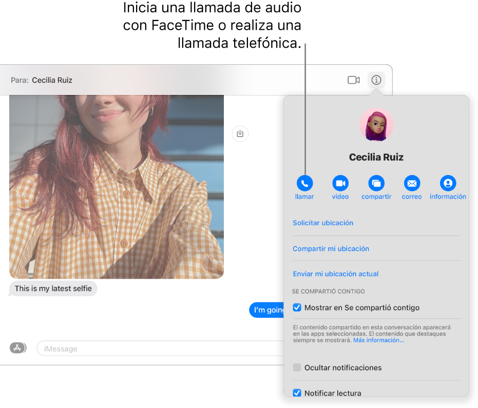 La visualización de Información, que aparece después de hacer clic en el botón Información en una conversación. Usa el botón de llamada a la izquierda para iniciar una llamada de audio con FaceTime o realizar una llamada telefónica.