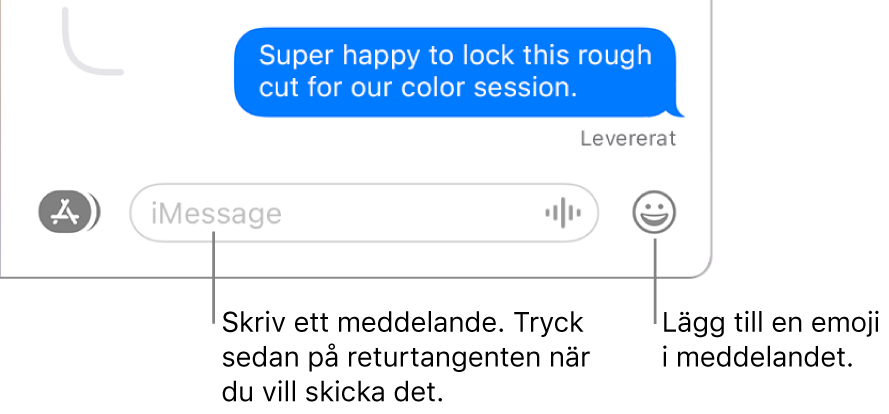 En transkribering i Meddelanden-fönstret med meddelandefältet synligt längst ned i fönstret.