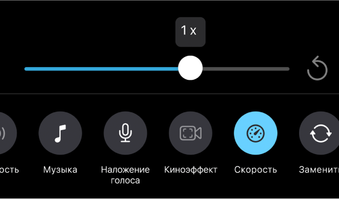 Для бегунка скорости задана скорость 1 x; кнопка сброса находится справа, а кнопка скорости — ниже.