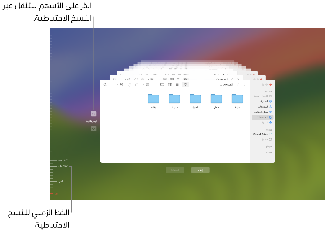 علامات اختيار في المخطط الزمنى للنسخ الاحتياطي. علامة الاختيار الحمراء تشير إلى النسخة الاحتياطية التي تتصفحها.