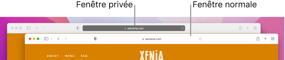 Une fenêtre Safari normale sur un Mac avec son champ de recherche intelligente de couleur pâle et une fenêtre Safari privée avec son champ de recherche intelligente de couleur foncée.