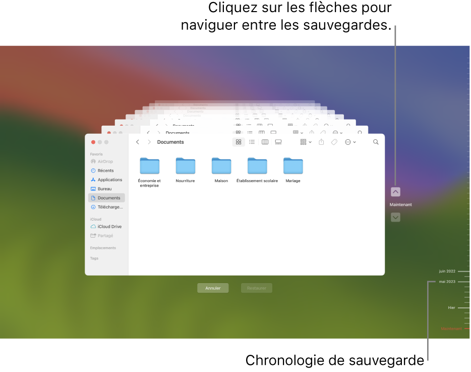 Marques de graduation dans la chronologie des sauvegardes. Les marques rouges indiquent la sauvegarde que vous parcourez.