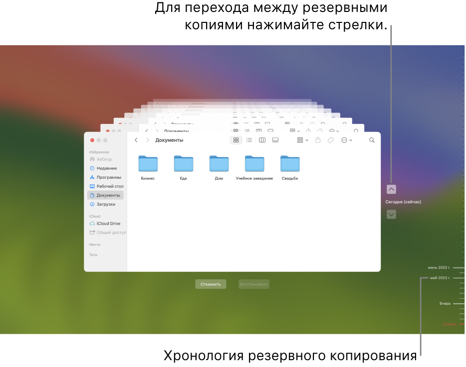 Деления на временной шкале резервных копий. Красным делением обозначена просматриваемая резервная копия.