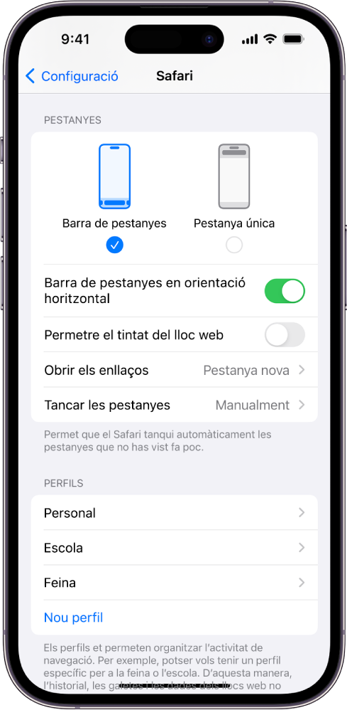 Pantalla que mostra dues opcions de disposició del Safari: “Barra de pestanyes” i “Pestanya única”.