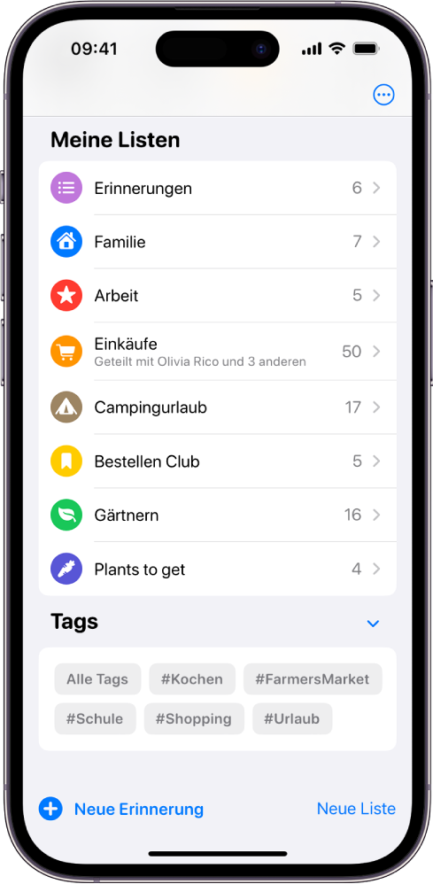 Ein Bildschirm der App „Erinnerungen“ mit verschiedenen Listen. Die Tag-Übersicht befindet sich unten.