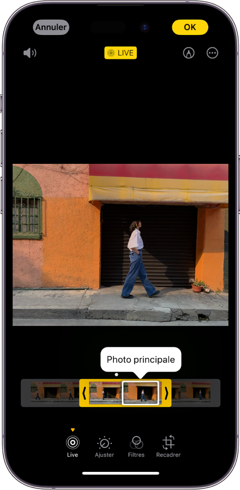 Un écran Live Photo avec la Live Photo au centre. Le visualiseur d’image se trouve sous la photo avec le bouton « Photo principale » actif. Des deux côtés du visualiseur d’image se trouvent deux flèches vous permettant de raccourcir la Live Photo. En bas de l’écran se trouvent les boutons Live, Ajuster, Filtres et Recadrer. Le bouton Live est sélectionné. Le bouton Annuler se trouve en haut à gauche de l’écran. Le bouton OK, quant à lui, se trouve en haut à droite de l’écran. En outre, en haut de l’écran, de gauche à droite, se trouvent les boutons « Couper le son », Live, Annoter et Modules.