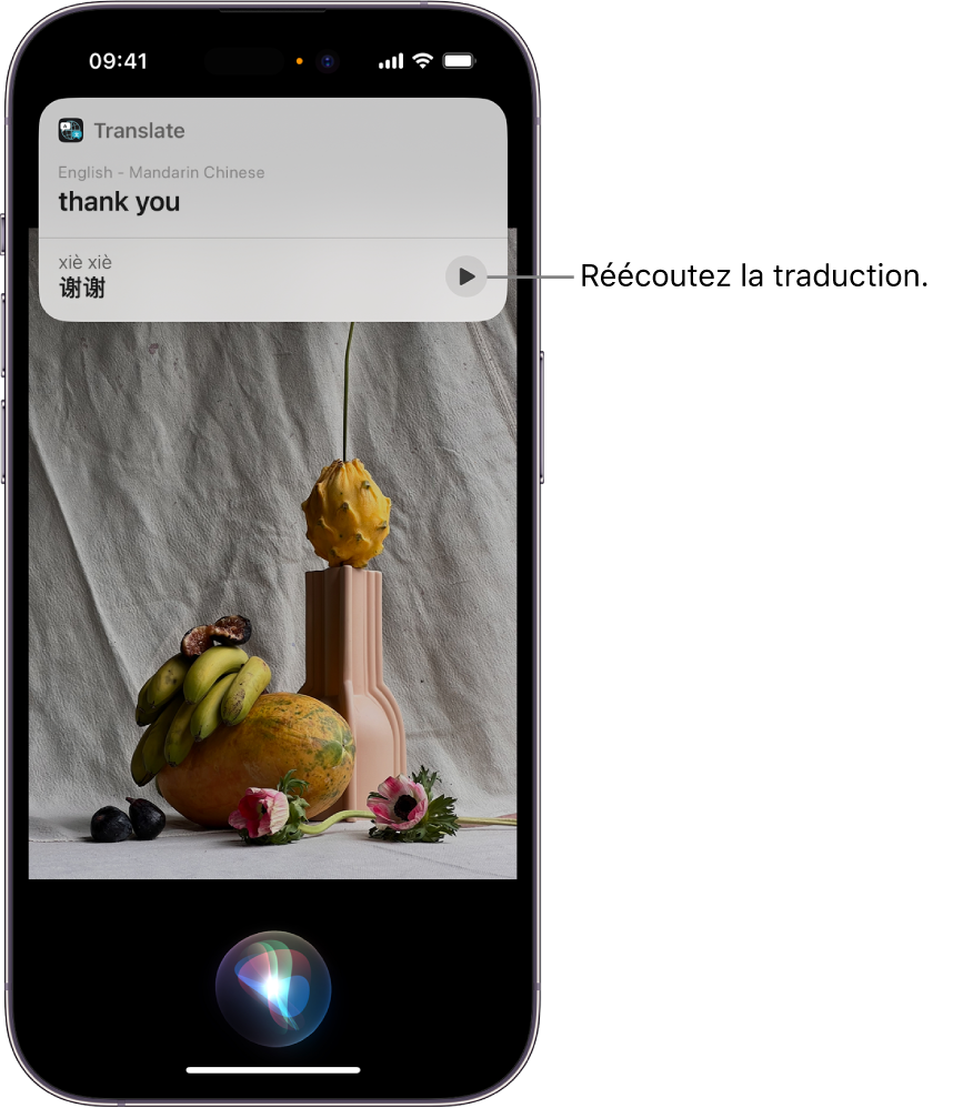 Un écran d’iPhone avec, en bas, l’indicateur d’écoute de Siri et, en haut, une réponse de Siri sous la forme d’une traduction [de l’anglais au mandarin].