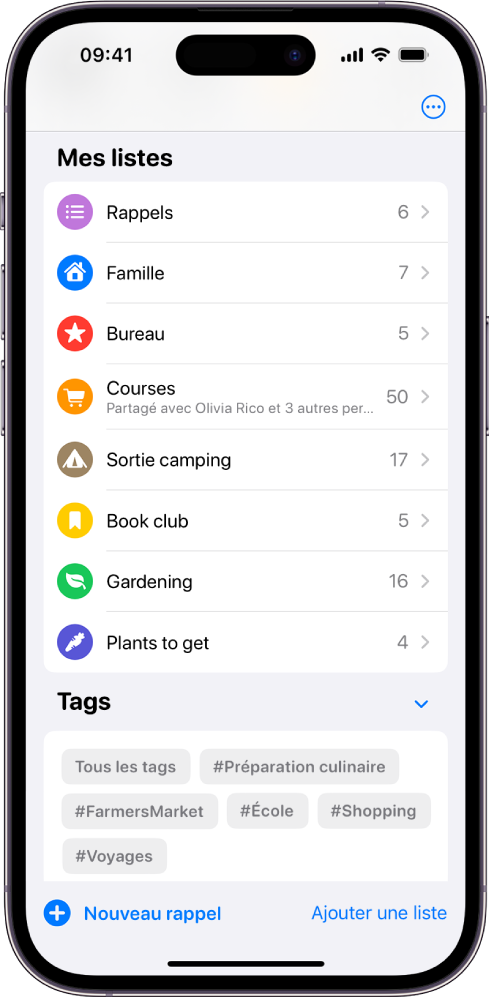 Un écran affichant plusieurs listes dans Rappels. Le navigateur de tags est situé en bas de l’écran.