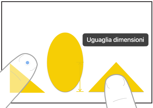 Due dita di due mani che selezionano e fanno corrispondere le dimensioni di due oggetti in Freeform.