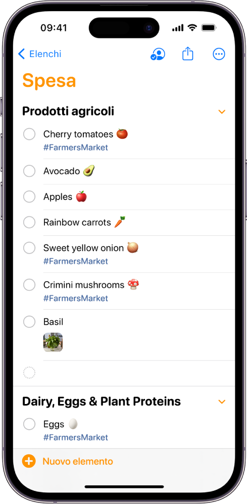 Una lista della spesa nell’app Promemoria.