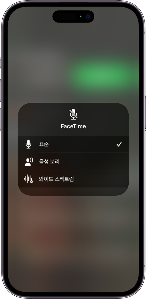 표준, 음성 분리, 와이드 스펙트럼과 같은 오디오 설정이 표시된 FaceTime 통화의 제어 센터 마이크 모드 설정.