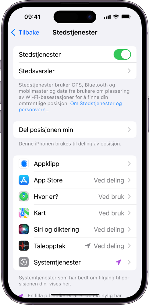 Stedstjenester-skjermen med innstillinger for å dele posisjonen til iPhone, inkludert tilpassede innstillinger for enkeltapper.