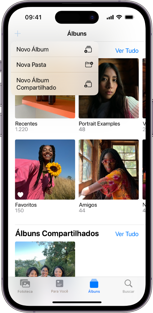 A tela Álbuns. O botão Novo Álbum está selecionado no canto superior esquerdo, mostrando as opções para adicionar um novo álbum, nova pasta ou novo álbum compartilhado.