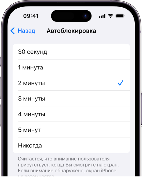 На экране автоблокировки показана настройка периода времени до автоматической блокировки iPhone.