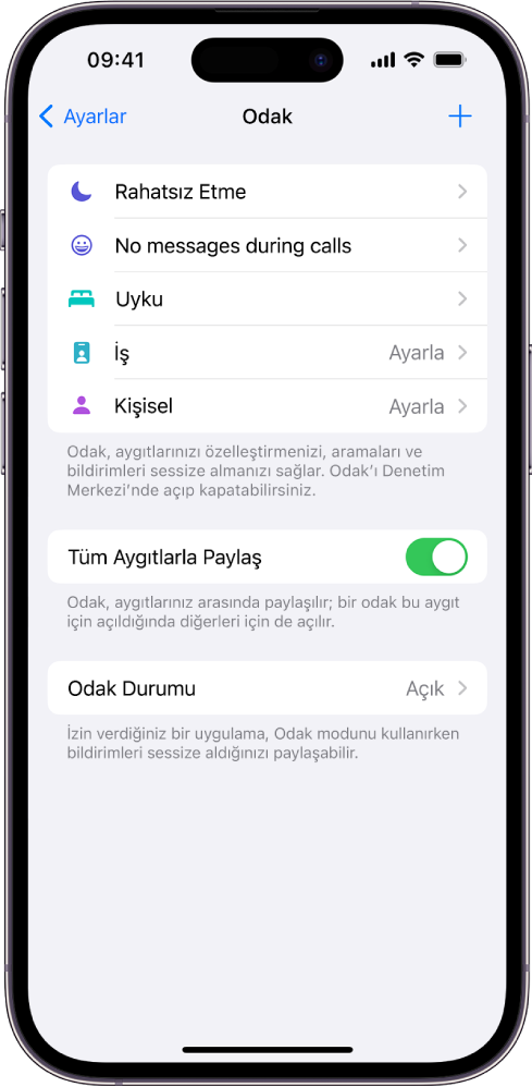 Sağlanan beş Odak seçeneğini (Rahatsız Etme, Arama sırasında mesaj yok, Uyku, Kişisel ve İş) gösteren bir ekran. Tüm Apple aygıtlarınızda aynı Odak ayarlarının kullanılmasını sağlayan Tüm Aygıtlarla Paylaş seçeneği açık.