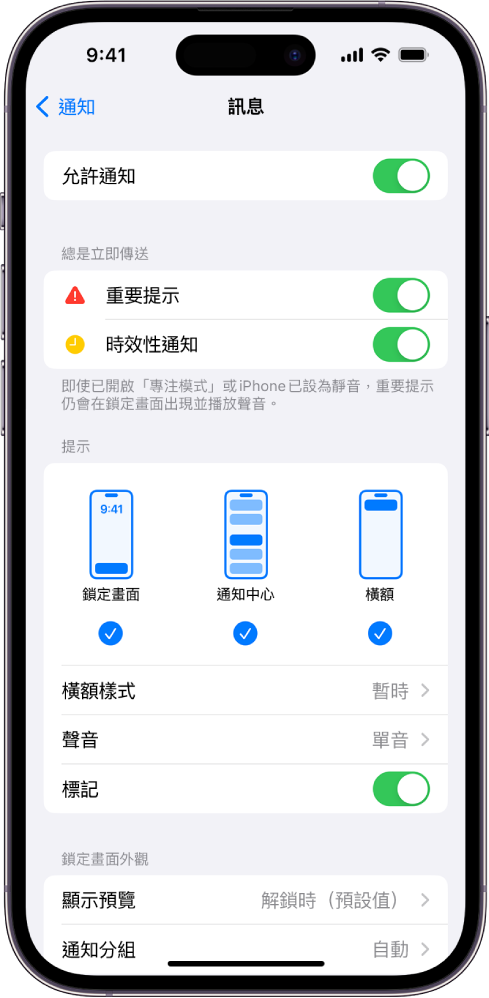 iPhone 以及「訊息」的通知和提示設定。