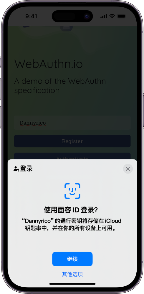 iPhone 屏幕的下半部分提供使用通行密钥登录网站的选项。它包含一个存储通行密钥的“继续”按钮，以及一个“其他选项”按钮。