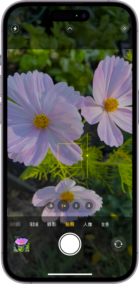 處於「拍照」模式的「相機」。在觀景窗中，焦點鎖定在主體上，主題旁邊顯示可調整亮度的滑桿。