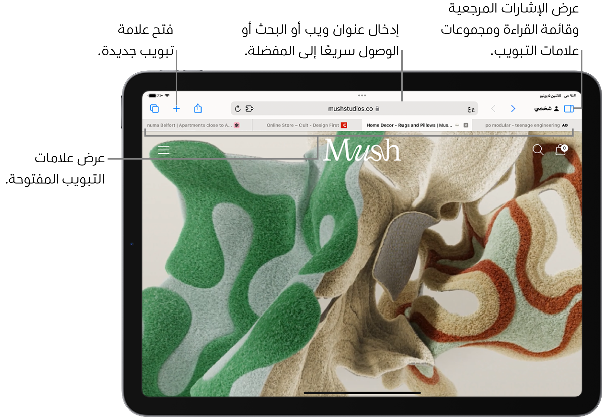 صفحة ويب مفتوحة. على امتداد الجزء العلوي، من اليمين إلى اليسار، يوجد زر الشريط الجانبي، وعنوان مجموعة علامات التبويب المفتوحة الحالية، وزرا السابق ورجوع، وحقل البحث، وزر مشاركة، وزر علامة تبويب جديدة، وزر عرض عام لعلامات التبويب.