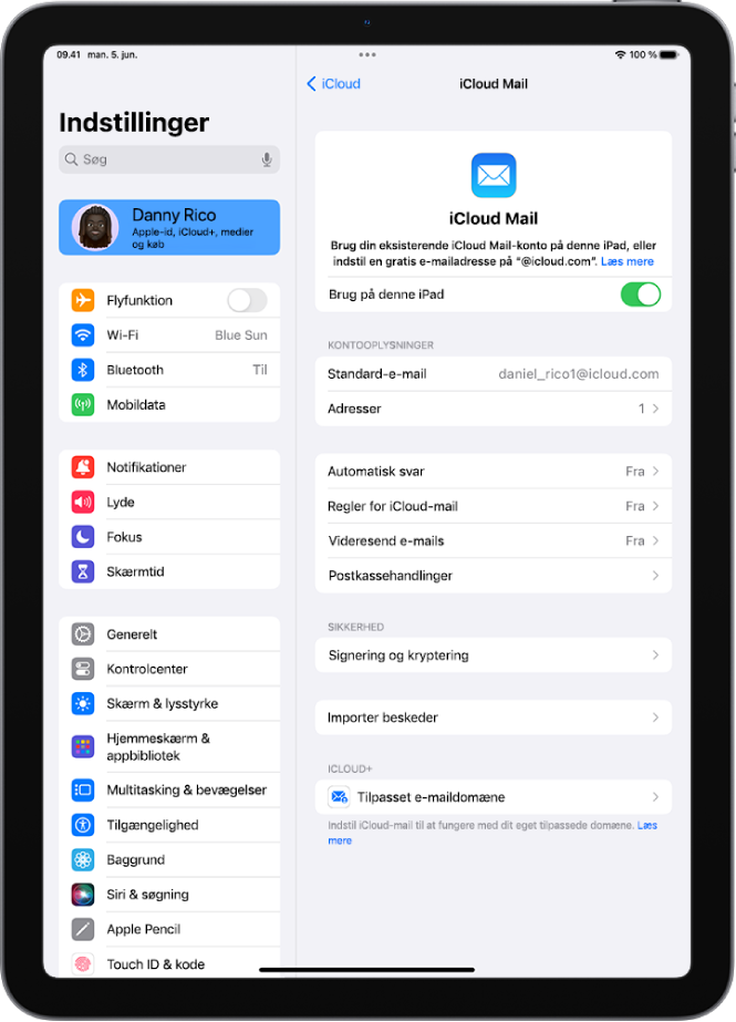 Appen Indstillinger er åben og viser skærmen iCloud Mail. Specielt e-maildomæne findes nederst på menuen.