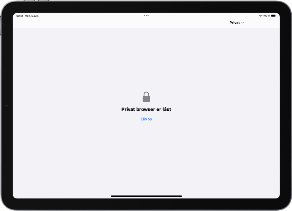 Safari er åben med Privat browser. Midt på skærmen ses ordene Privat browser er låst. Under det er der en knap til oplåsning.