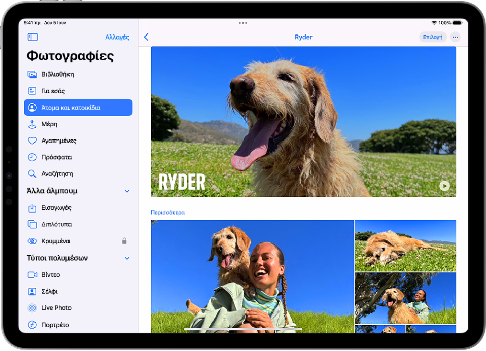 Η οθόνη «Άτομα και κατοικίδια» στην εφαρμογή «Φωτογραφίες» όπου φαίνονται ένα βίντεο και φωτογραφίες ενός κατοικίδιου.