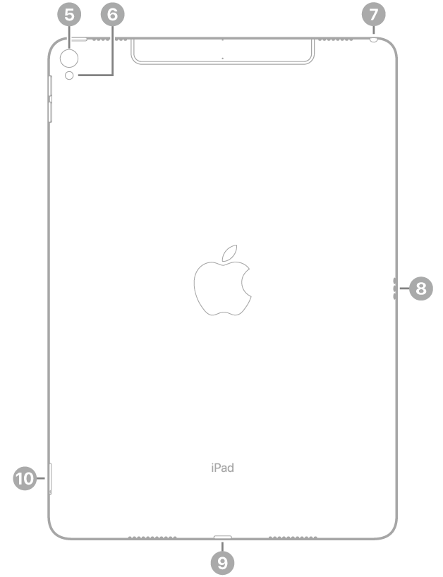 Vista posterior del iPad Pro con textos sobre la cámara trasera y el flash en la parte superior izquierda, la toma de auriculares en la parte superior derecha, el Smart Connector a la derecha, el conector Lightning en la parte inferior central y la bandeja de la tarjeta SIM (Wi-Fi + Cellular) abajo a la izquierda.