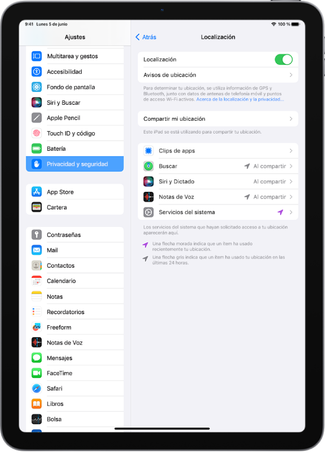 Ajustes de la función Localización en los ajustes de “Privacidad y seguridad”, con opciones para compartir la ubicación del iPad, incluidos ajustes personalizados para apps específicas.