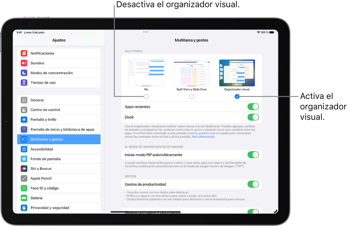 Pantalla del iPad con los controles para activar o desactivar el organizador visual, mostrar u ocultar la lista de apps recientes cuando el organizador visual está activado y mostrar u ocultar el Dock cuando el organizador visual está activado.