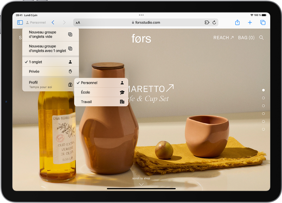 Dans Safari, le menu Groupe d’onglets à gauche du champ de recherche est ouvert. En bas du menu, Profil est sélectionné et un menu affiche les options Personnel, École et Travail.